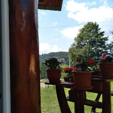 Casa Din Poiana