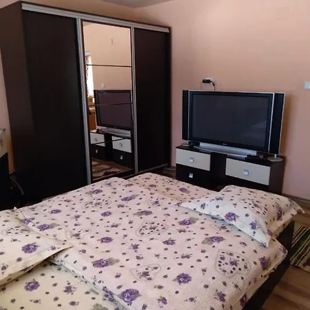 Casa Din Poiana Guest house