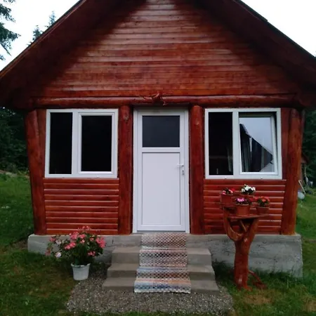 Casa Din Poiana Hanasesti